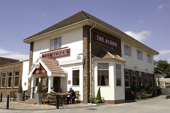 Acorn Acorn