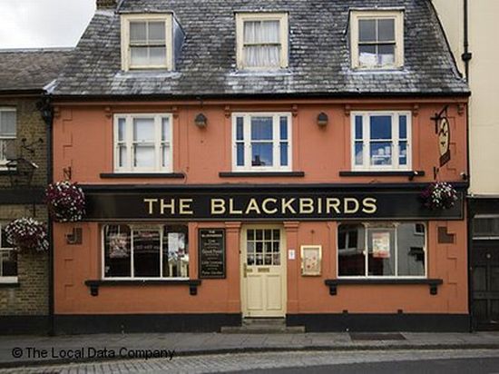 Blackbirds Blackbirds