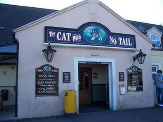Cat With No Tail Cat With No Tail