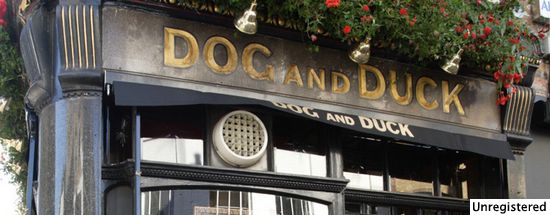 Dog & Duck Dog & Duck