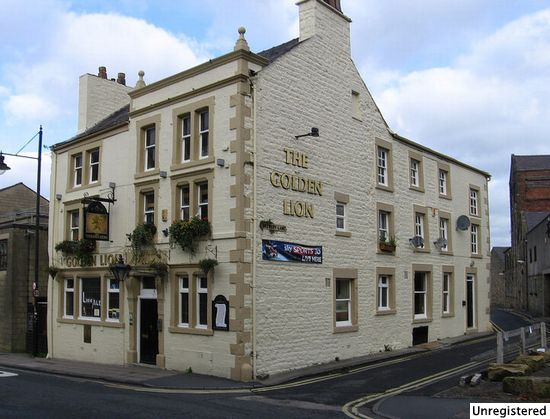 Golden Lion Golden Lion